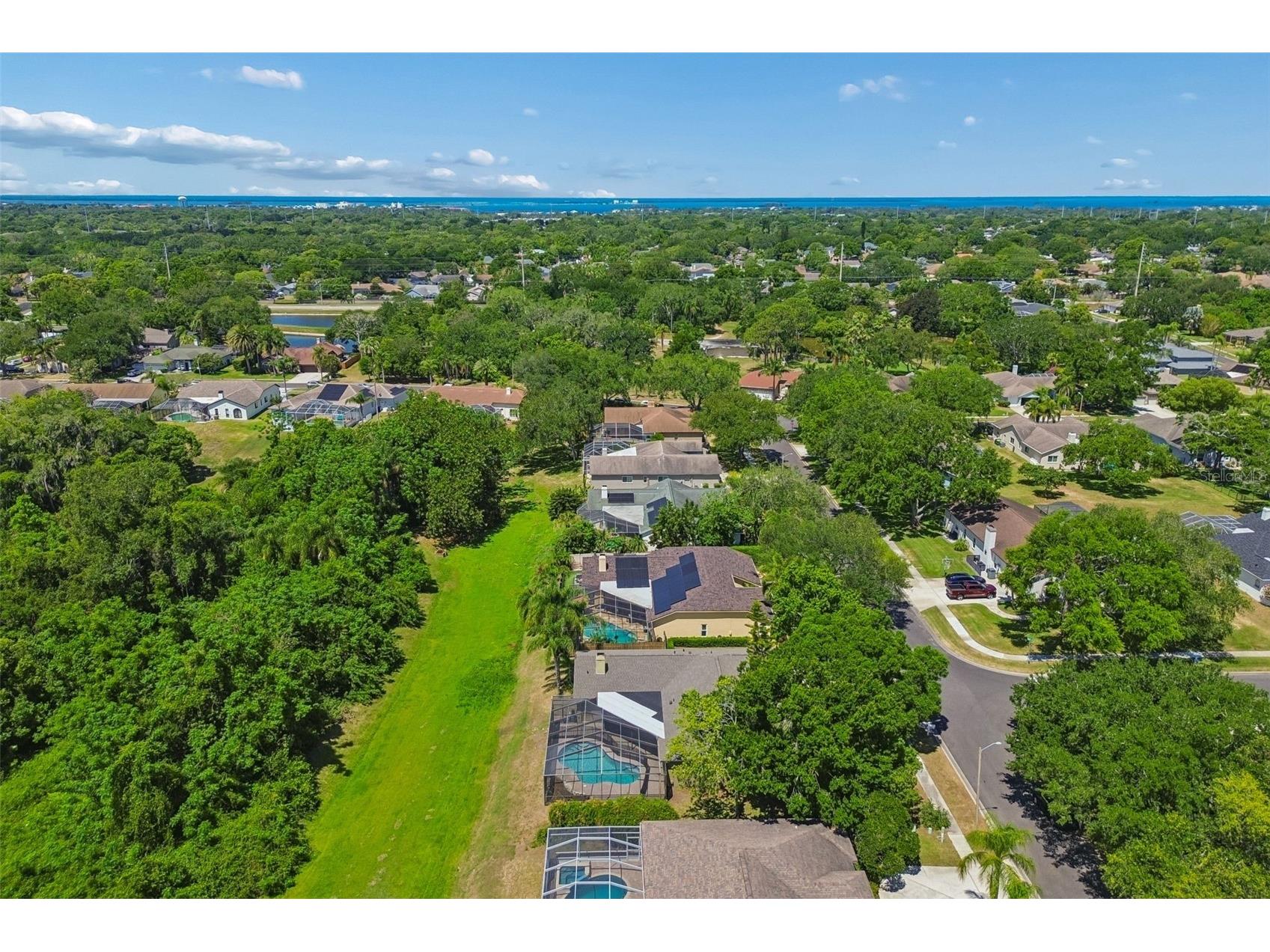 2080 Simeon Drive Palm Harbor FL 34683 TB8503096 image46