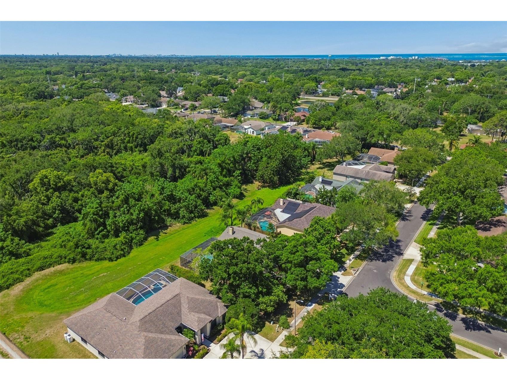 2080 Simeon Drive Palm Harbor FL 34683 TB8503096 image47