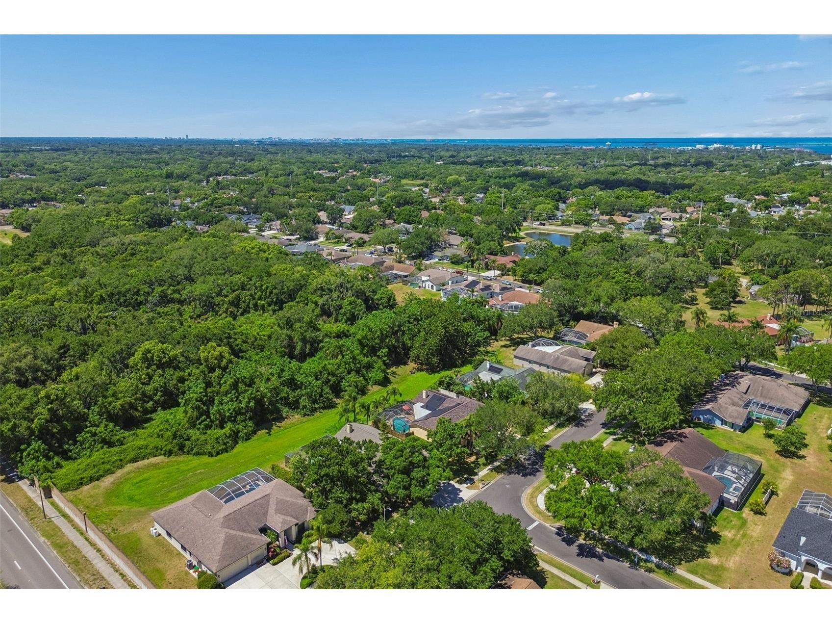2080 Simeon Drive Palm Harbor FL 34683 TB8503096 image48