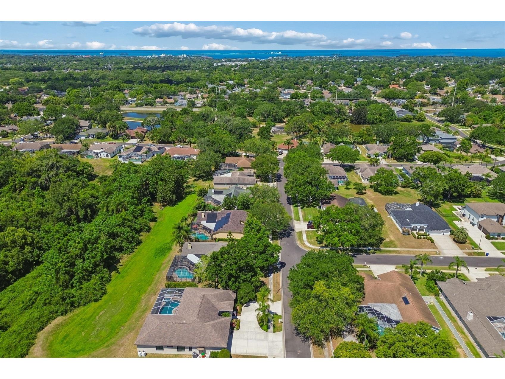2080 Simeon Drive Palm Harbor FL 34683 TB8503096 image49