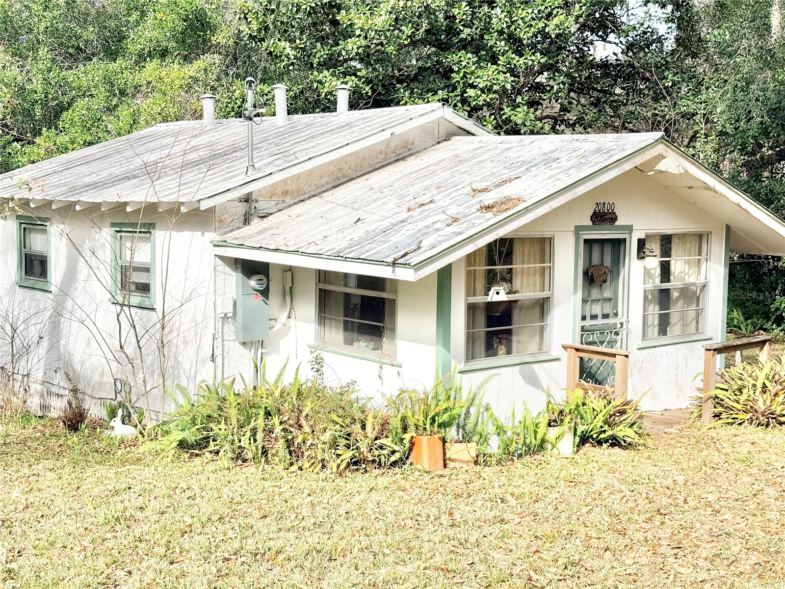20800 NE 146th Terrace Fort Mc Coy FL 32134 G5110872 image1