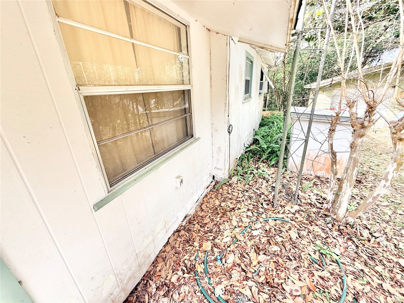 20800 NE 146th Terrace Fort Mc Coy FL 32134 G5110872 image12