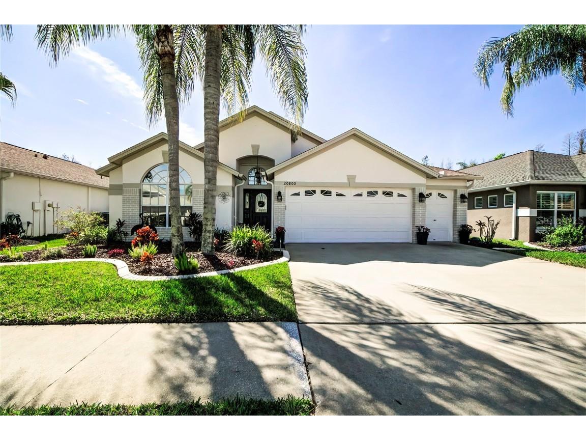 20800 Nectarine Place Land O Lakes FL 34637 W7862671 image1