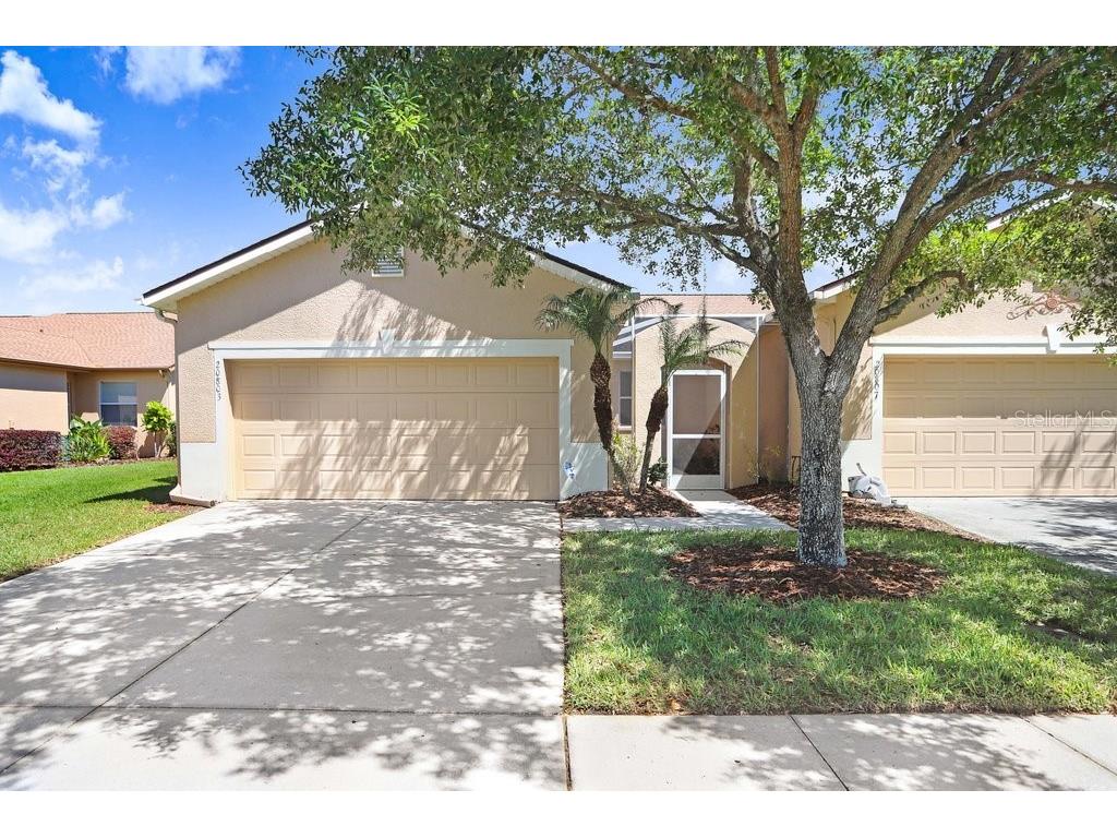 20803 Diamonte Drive Land O Lakes FL 34637 T3513325 image1