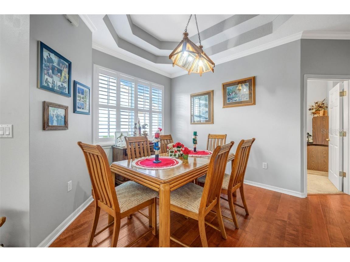 20804 Eustis Road Land O Lakes FL 34637 TB8458784 image11