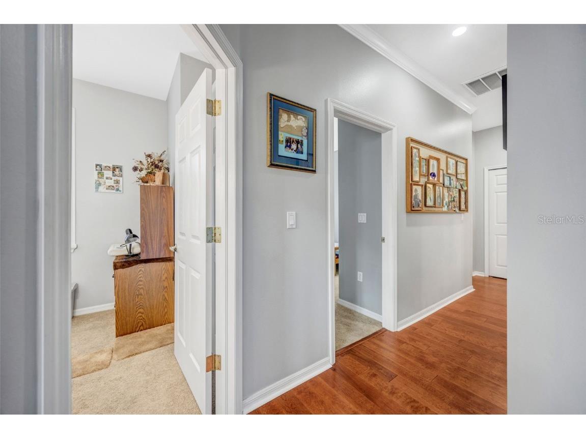 20804 Eustis Road Land O Lakes FL 34637 TB8458784 image24