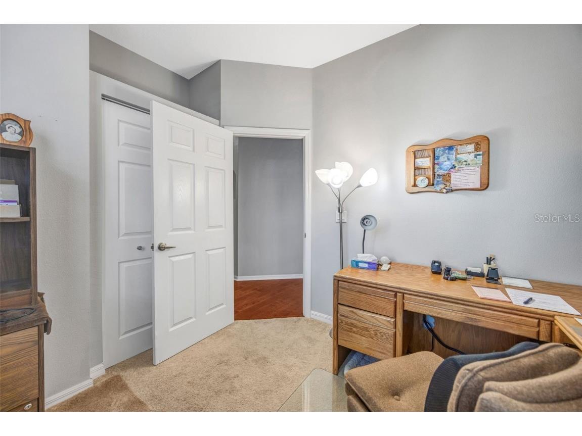 20804 Eustis Road Land O Lakes FL 34637 TB8458784 image26