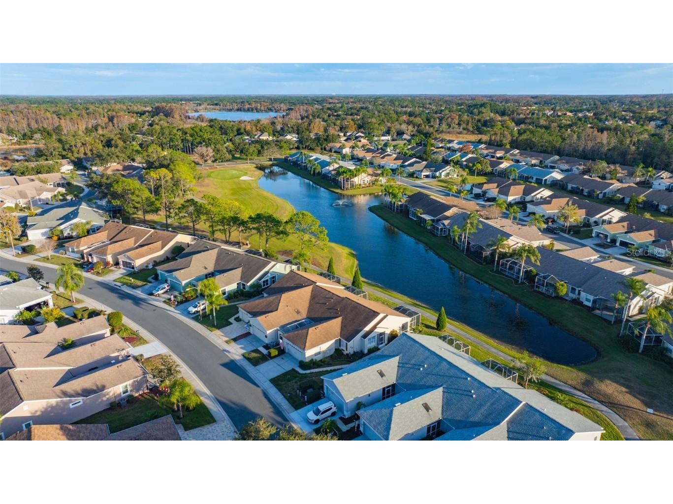 20804 Eustis Road Land O Lakes FL 34637 TB8458784 image40