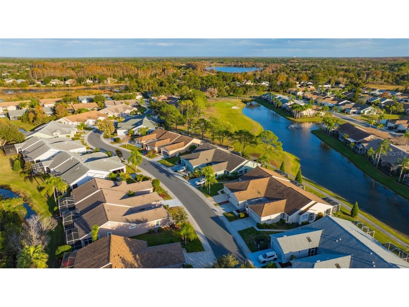 20804 Eustis Road Land O Lakes FL 34637 TB8458784 image41