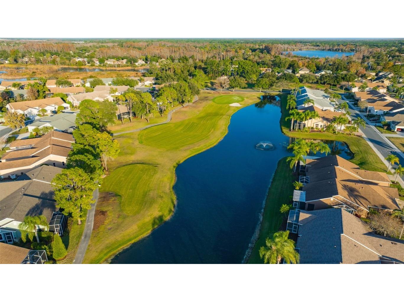 20804 Eustis Road Land O Lakes FL 34637 TB8458784 image44