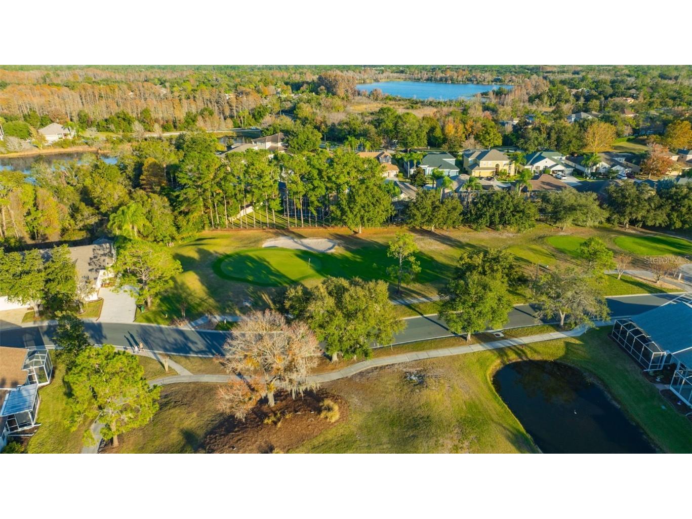 20804 Eustis Road Land O Lakes FL 34637 TB8458784 image45