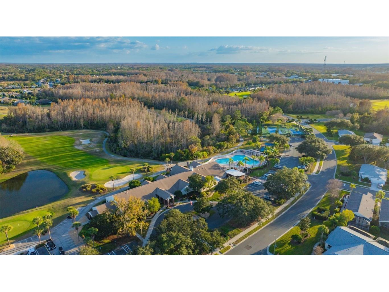 20804 Eustis Road Land O Lakes FL 34637 TB8458784 image48