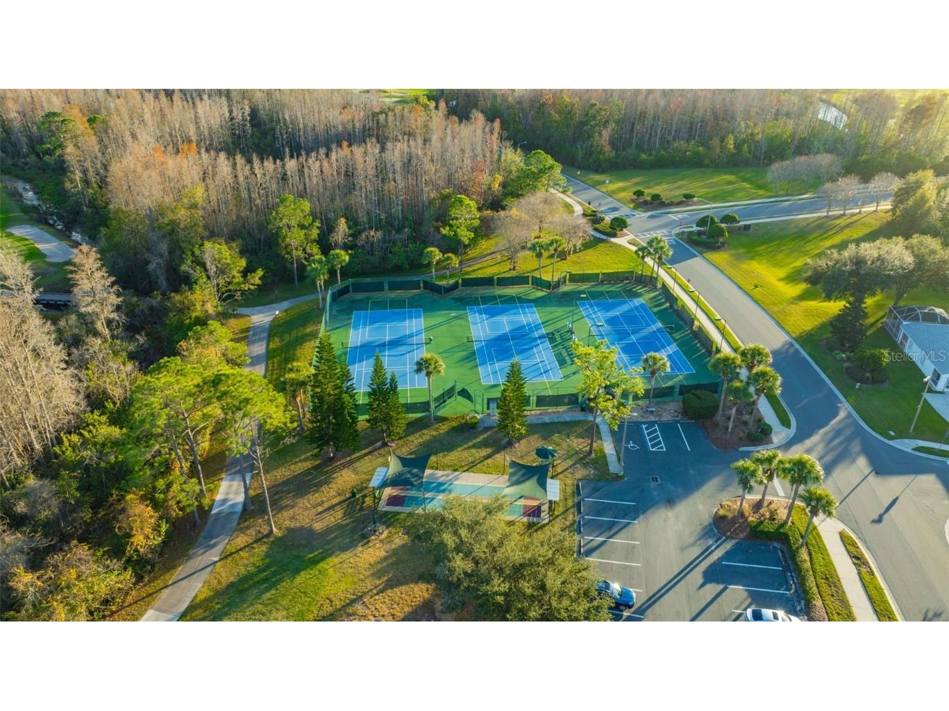 20804 Eustis Road Land O Lakes FL 34637 TB8458784 image52
