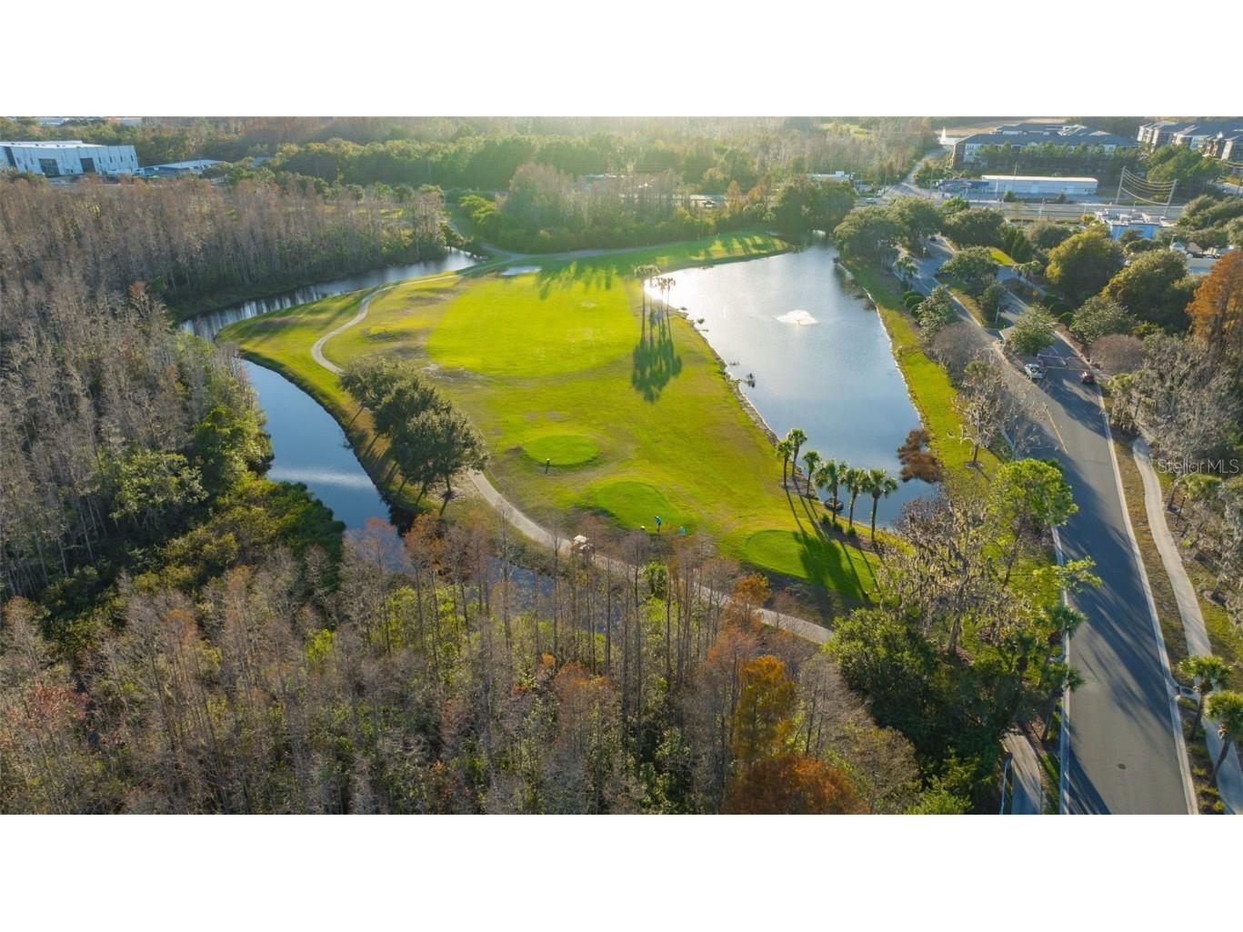 20804 Eustis Road Land O Lakes FL 34637 TB8458784 image53