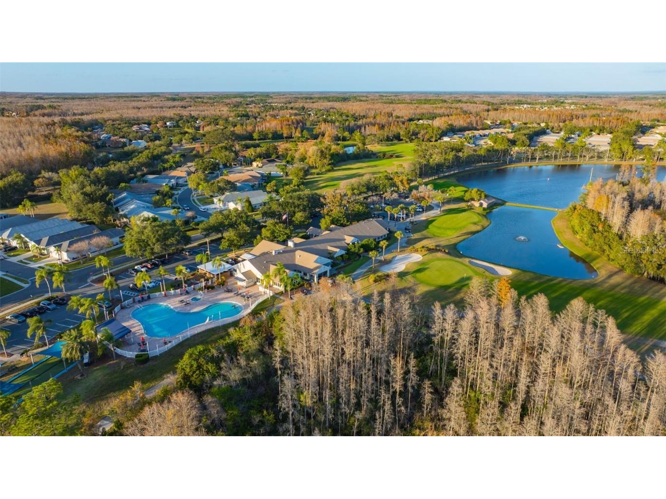 20804 Eustis Road Land O Lakes FL 34637 TB8458784 image55