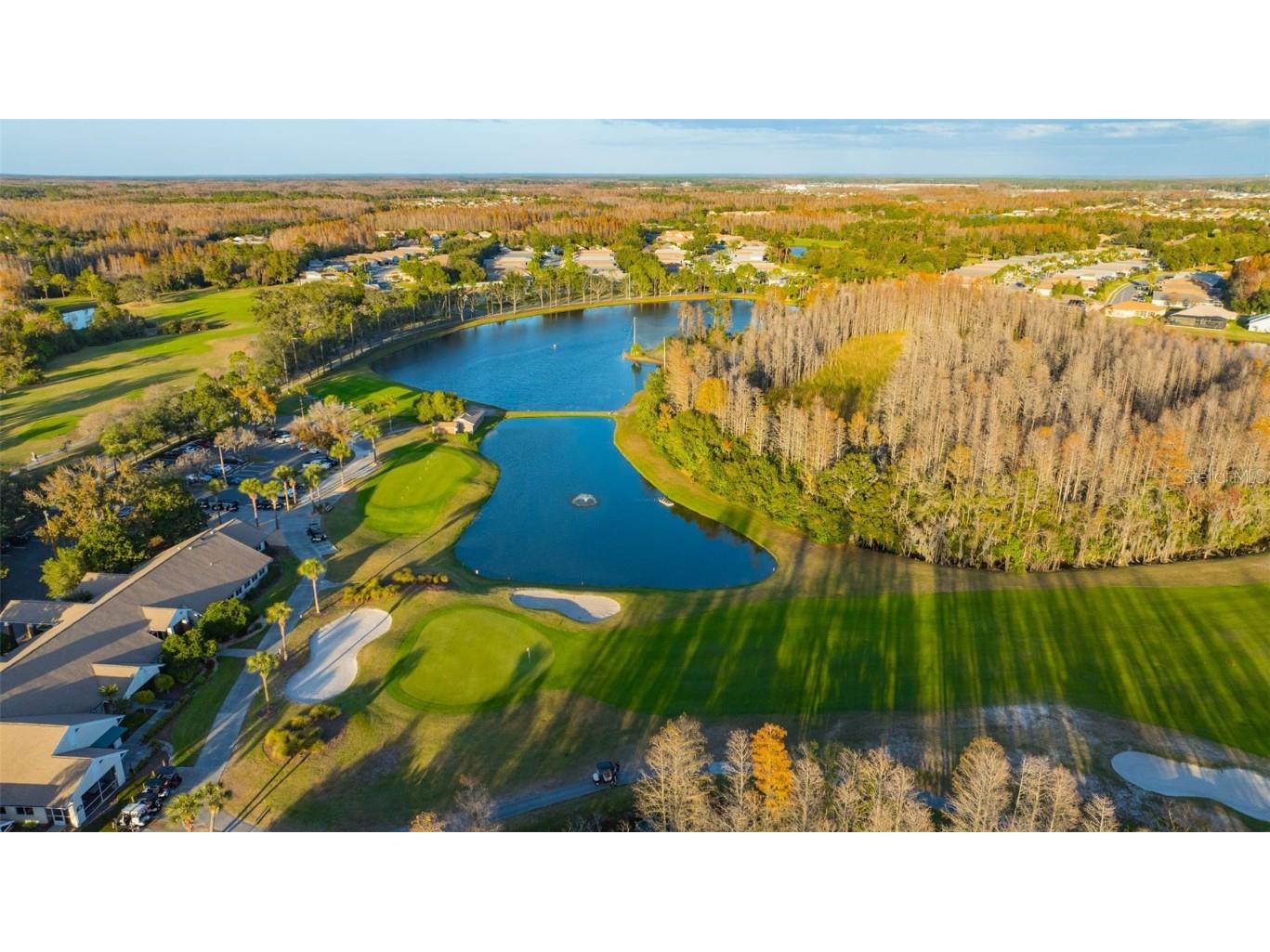 20804 Eustis Road Land O Lakes FL 34637 TB8458784 image57