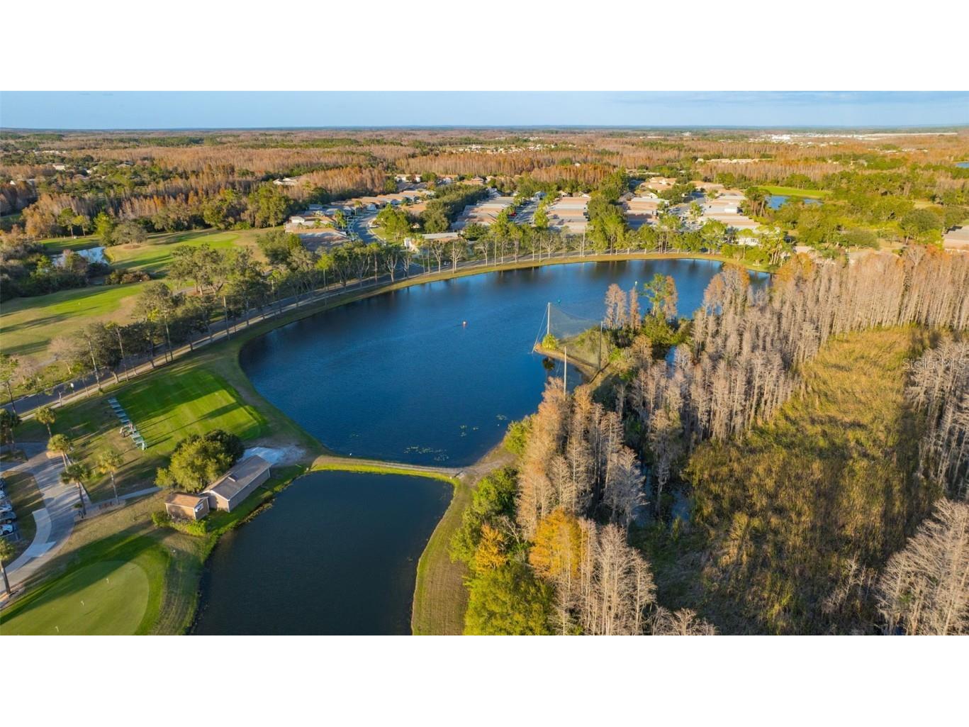 20804 Eustis Road Land O Lakes FL 34637 TB8458784 image58