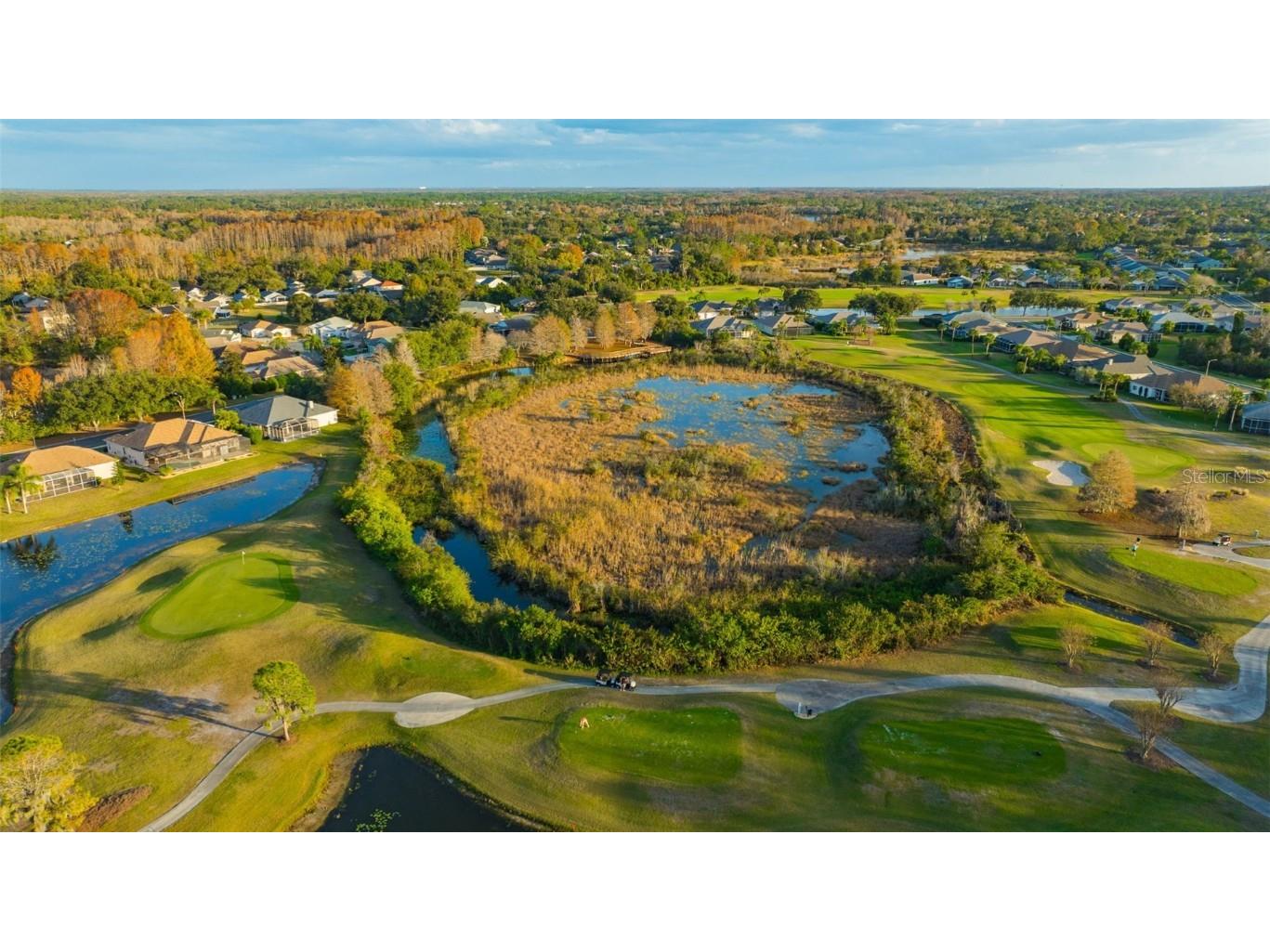 20804 Eustis Road Land O Lakes FL 34637 TB8458784 image59