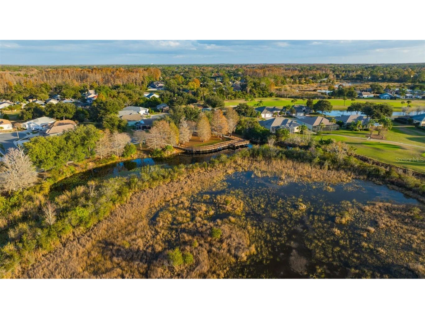 20804 Eustis Road Land O Lakes FL 34637 TB8458784 image60