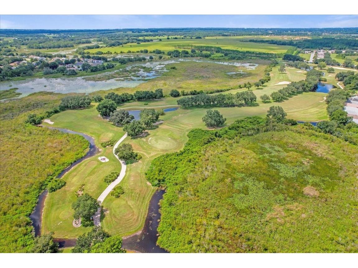 20806 Queen Alexandra Drive Leesburg FL 34748 O6330029 image45