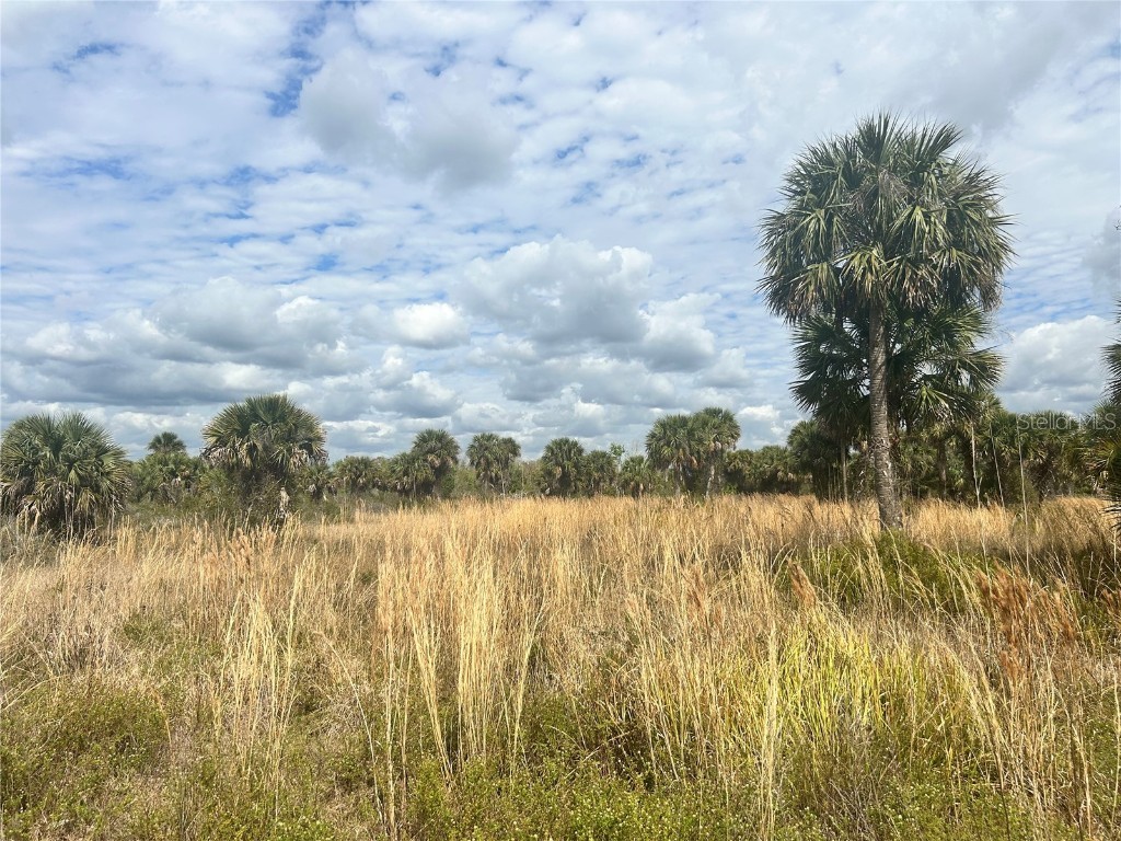 20809 NW 280th Street Okeechobee FL 34972 OK223775 image1