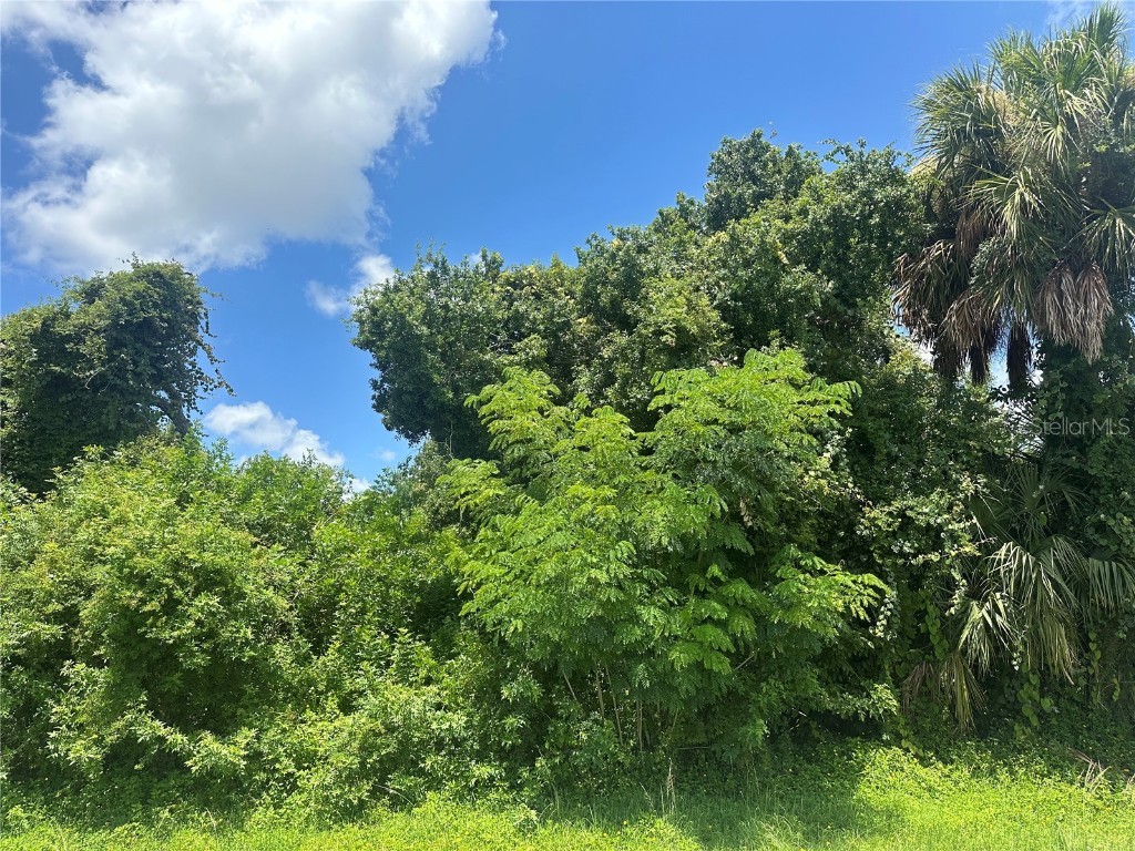 2081 Basin Street Port Charlotte FL 33952 D6137514 image1