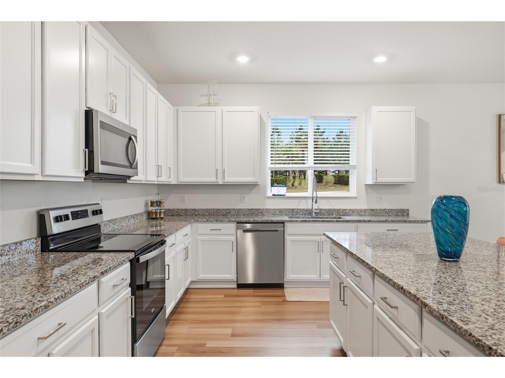 2081 Malbec Court Minneola FL 34715 O6376843 image7