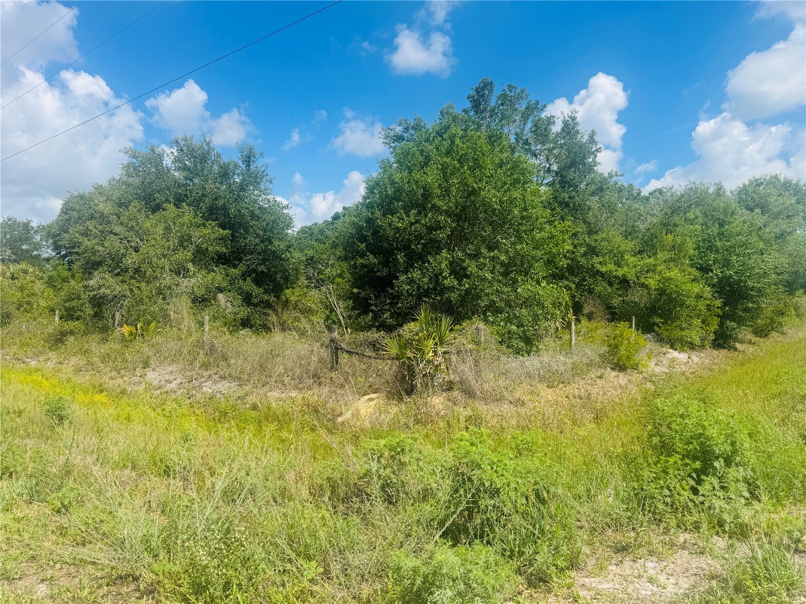 20811 NW 266th Street Okeechobee FL 34972 S5150364 image4