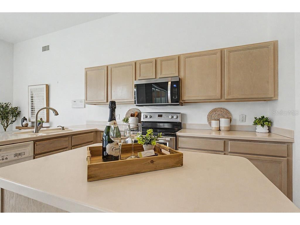 20811 SW 81st Loop Dunnellon FL 34431 - RAINBOW RIVER OM724956 image13