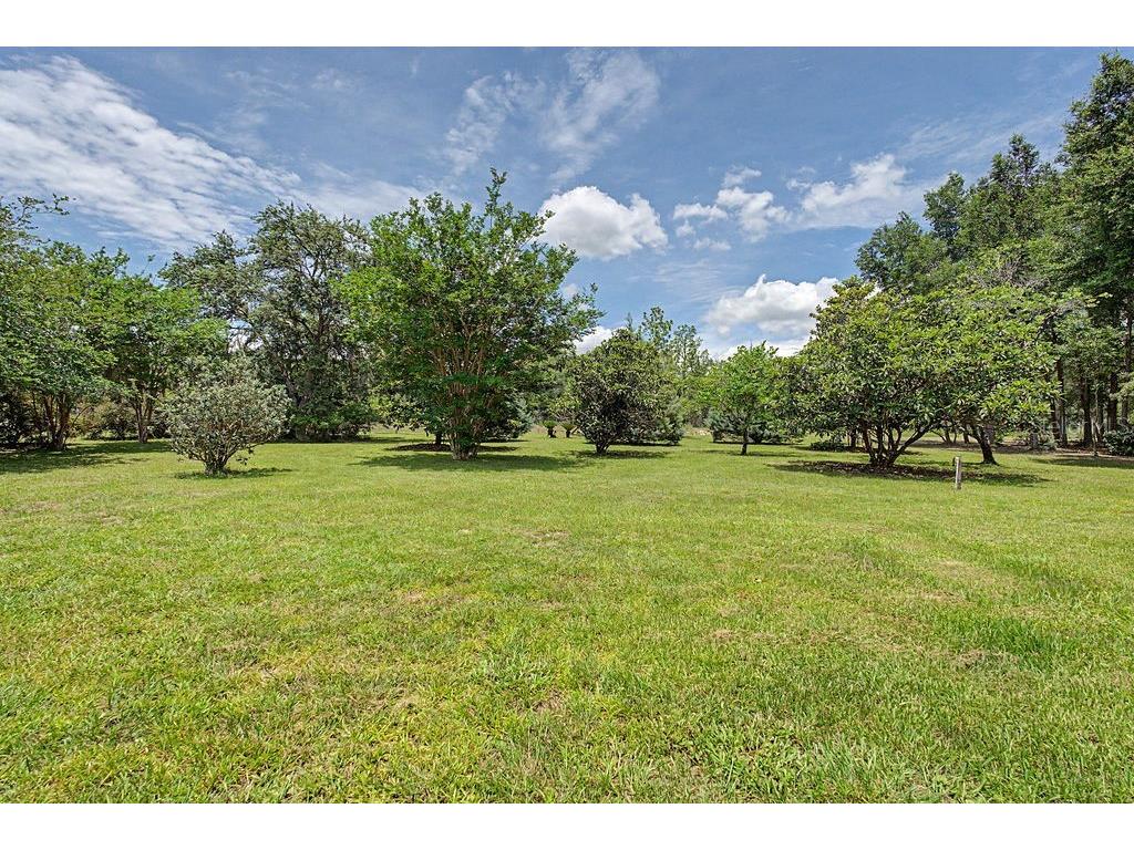 20811 SW 81st Loop Dunnellon FL 34431 - RAINBOW RIVER OM724956 image56