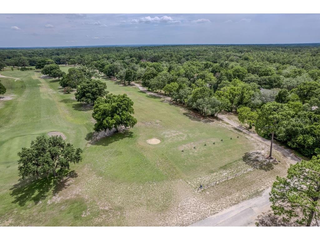 20811 SW 81st Loop Dunnellon FL 34431 - RAINBOW RIVER OM724956 image70