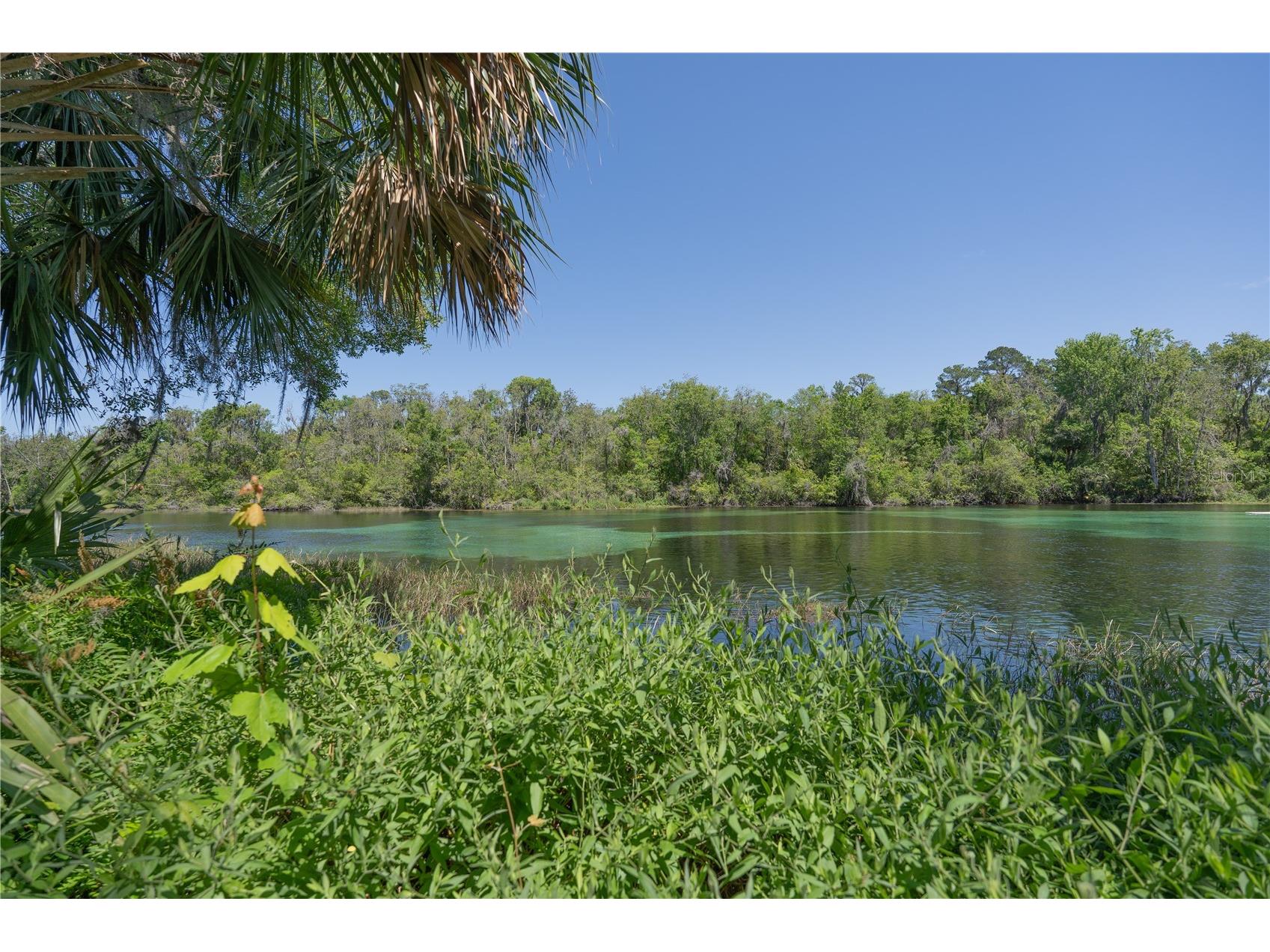 20811 SW 81st Loop Dunnellon FL 34431 - RAINBOW RIVER OM724956 image83