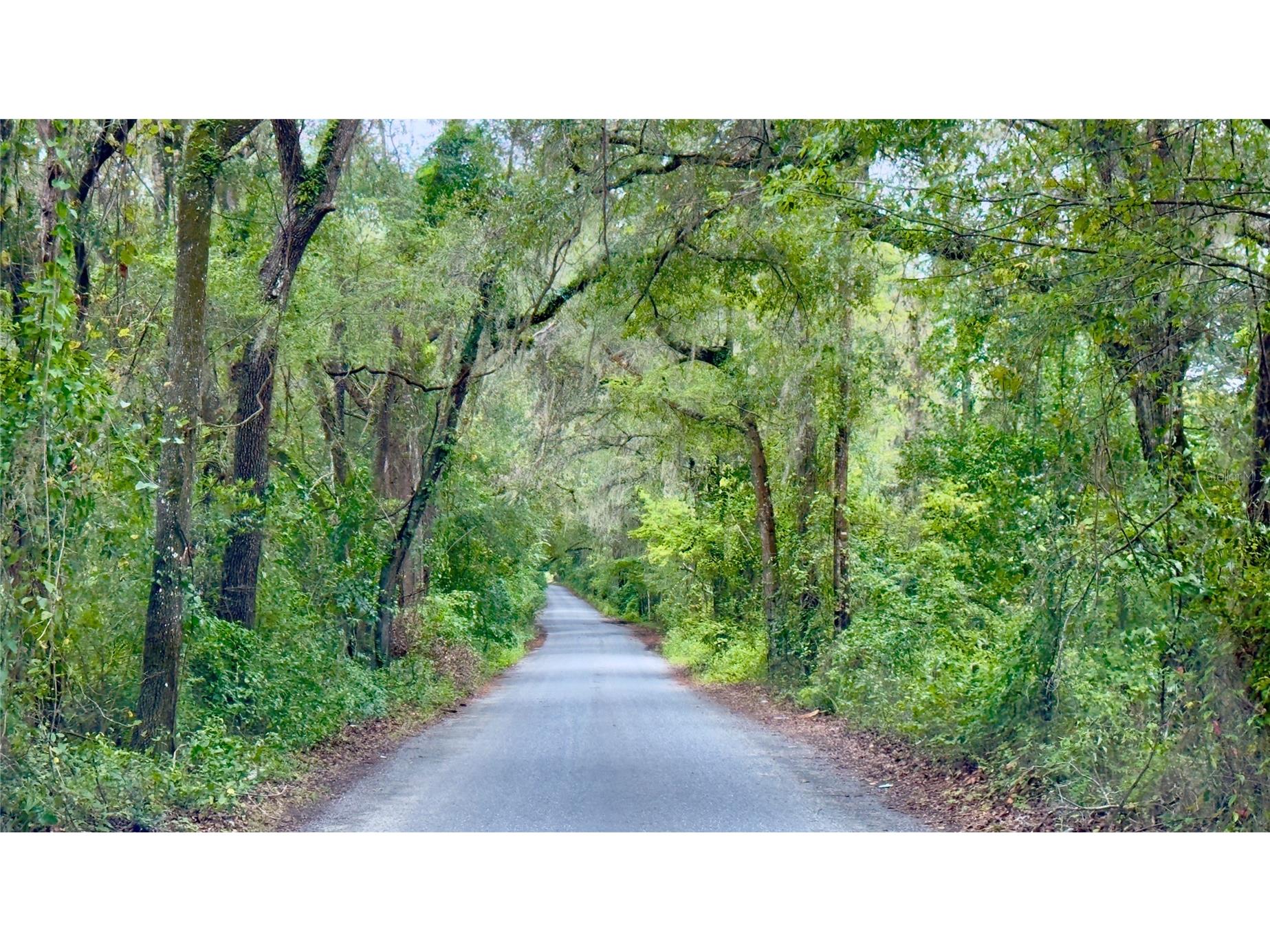 20815 NW 62nd Avenue Newberry FL 32669 GC534820 image1