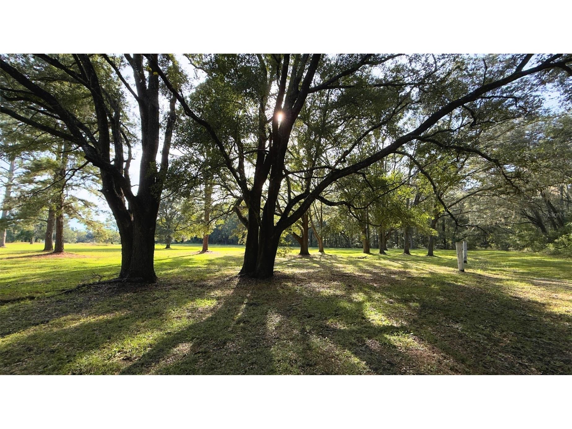 20815 NW 62nd Avenue Newberry FL 32669 GC534820 image10