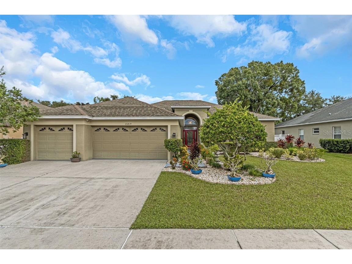 20819 Lake Talia Land O Lakes FL 34638 U8217867 image1