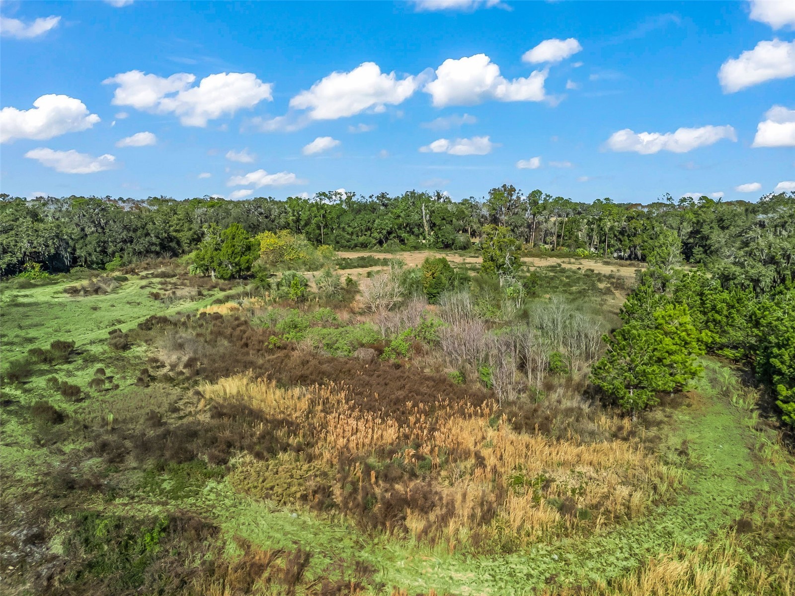 2082 Cr 44a Wildwood FL 34785 G5106803 image13