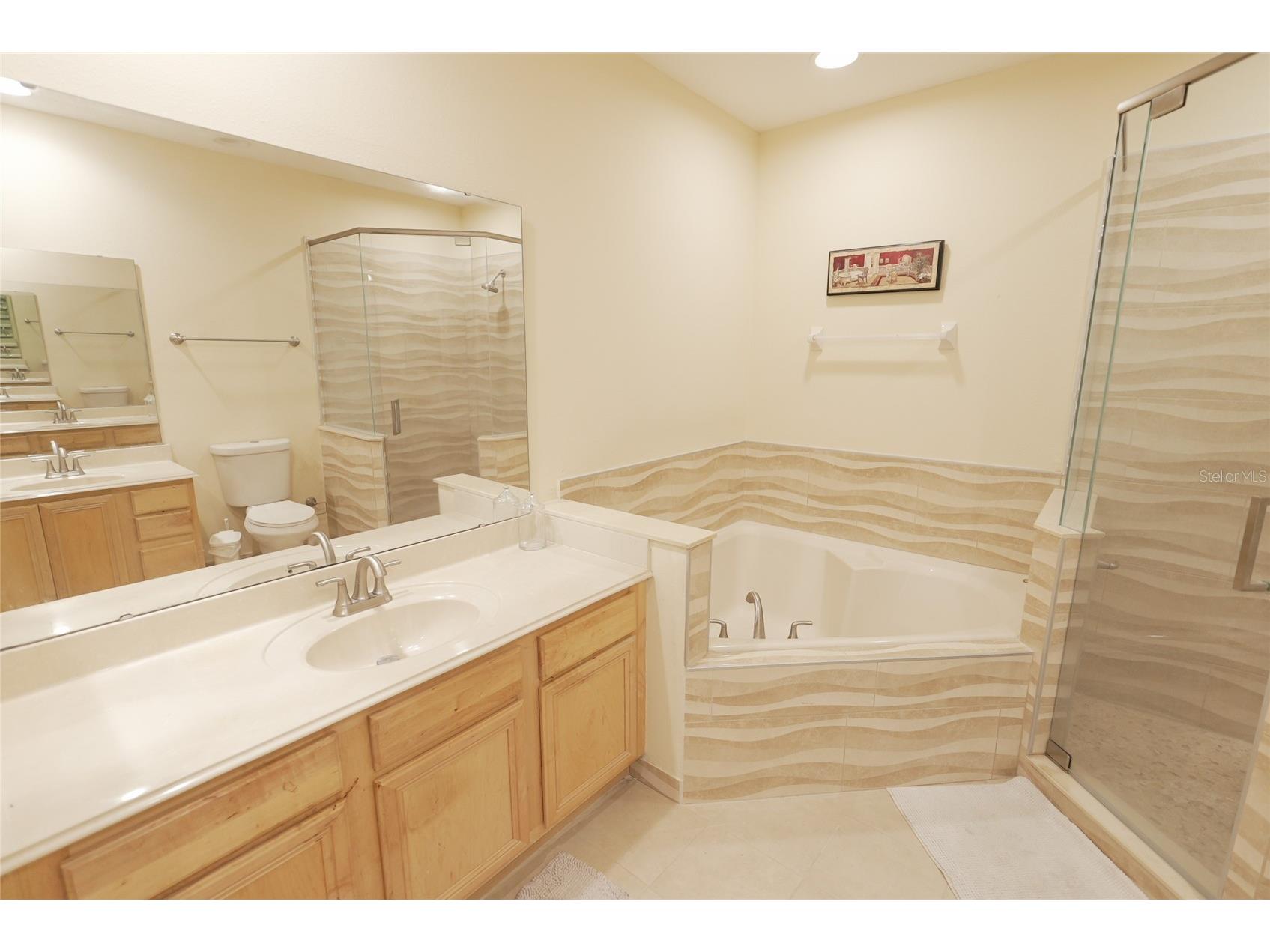 2082 Chatham Place Drive Orlando FL 32824 O6392595 image17