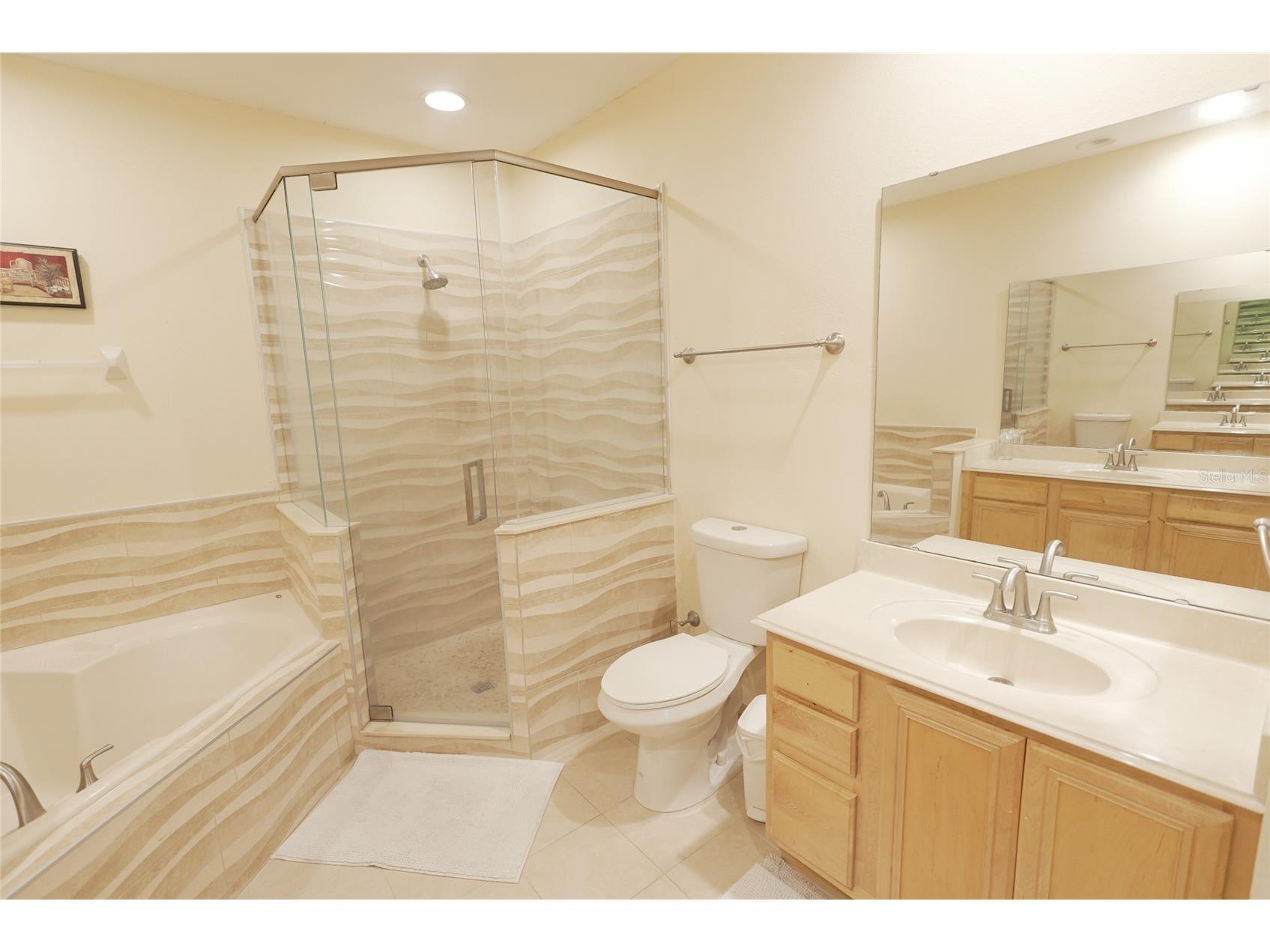 2082 Chatham Place Drive Orlando FL 32824 O6392595 image18