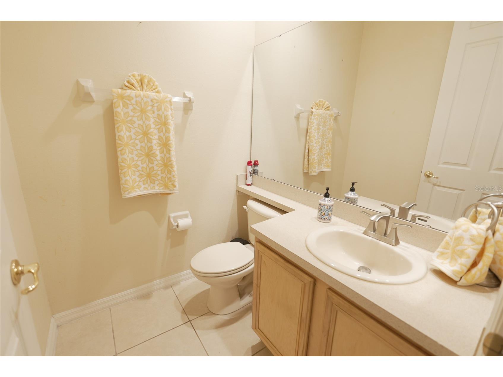 2082 Chatham Place Drive Orlando FL 32824 O6392595 image28