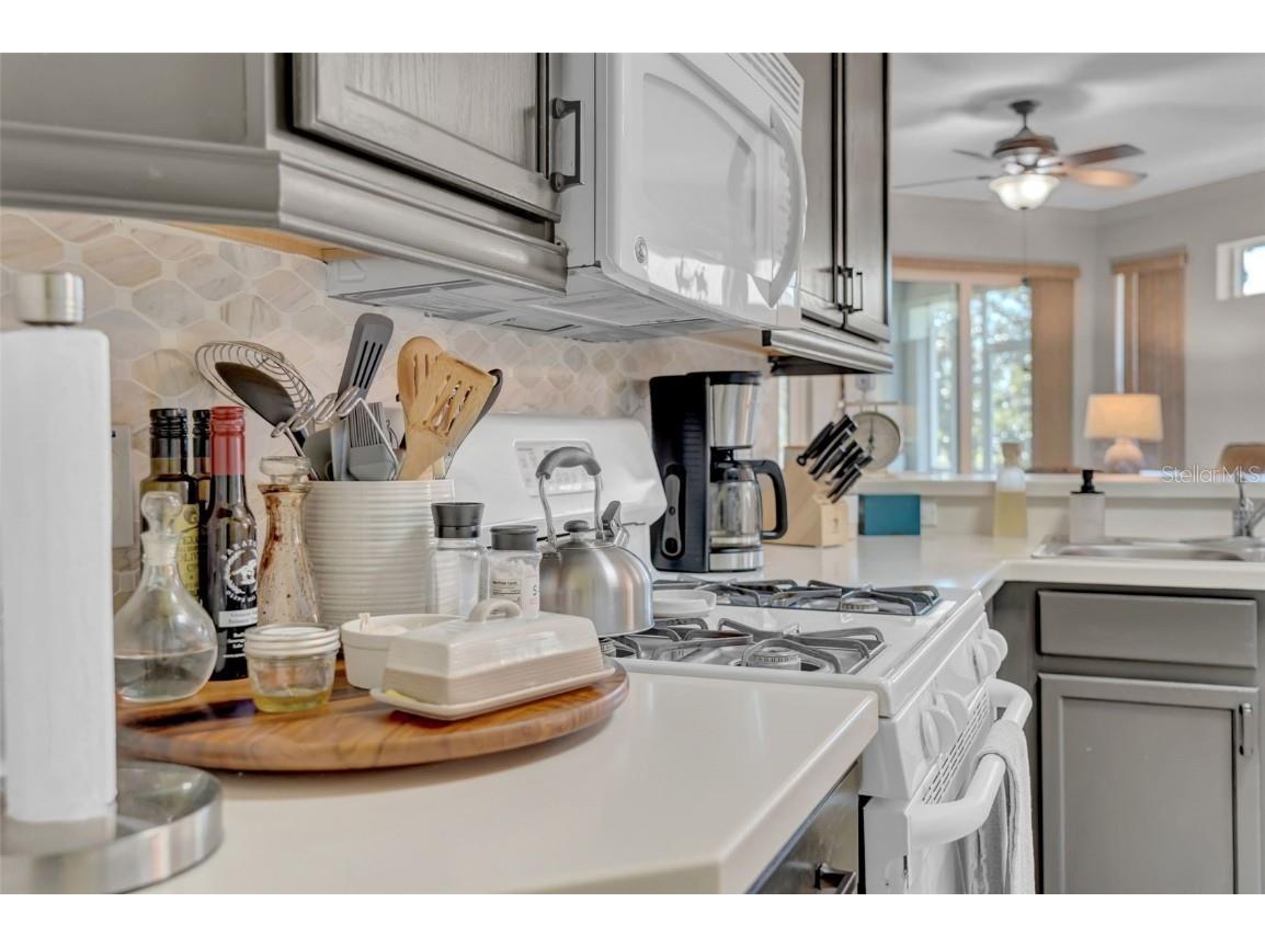 2082 Sifield Greens Way #3 Sun City Center FL 33573 TB8360098 image12