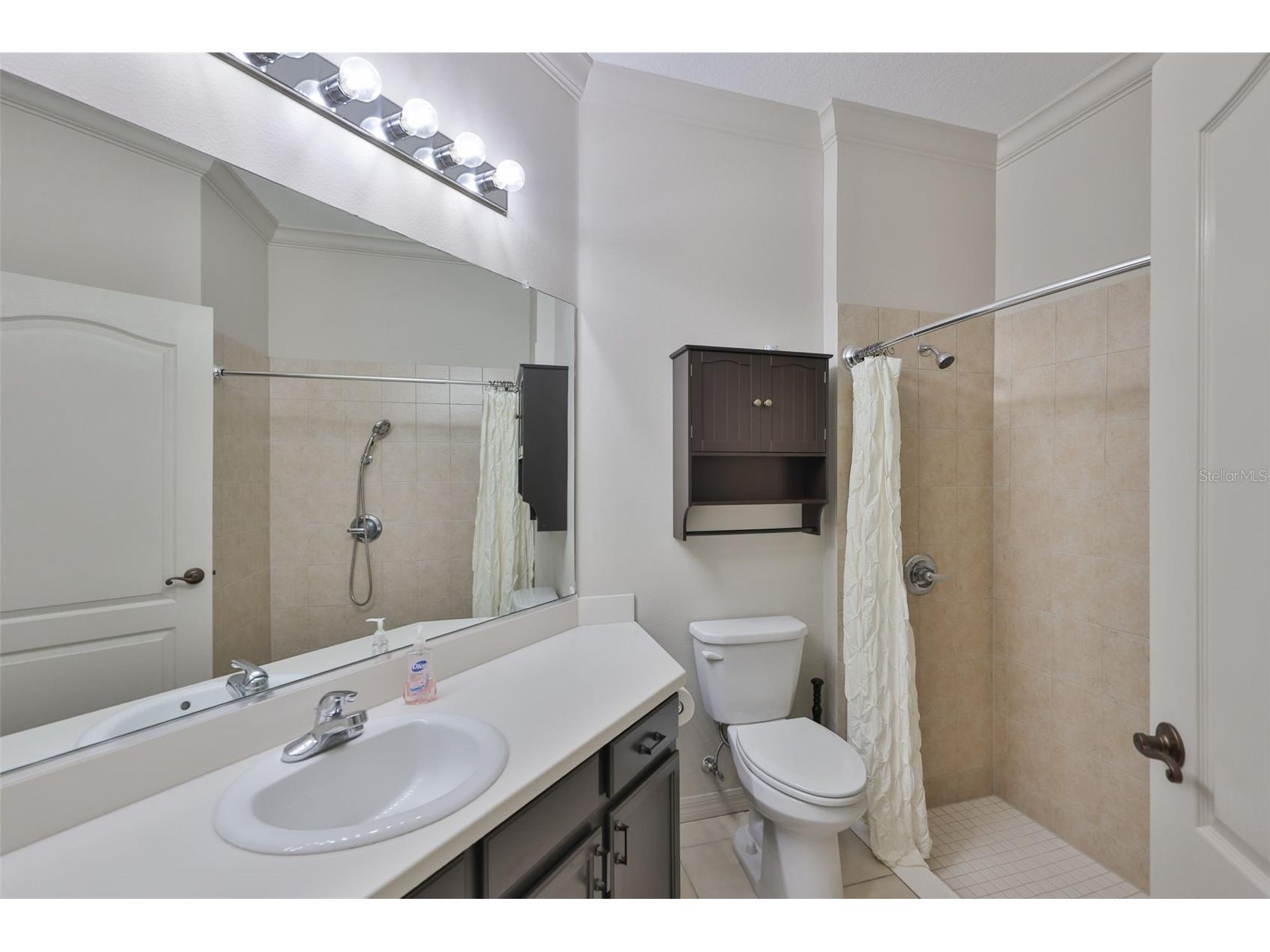 2082 Sifield Greens Way #3 Sun City Center FL 33573 TB8495916 image28