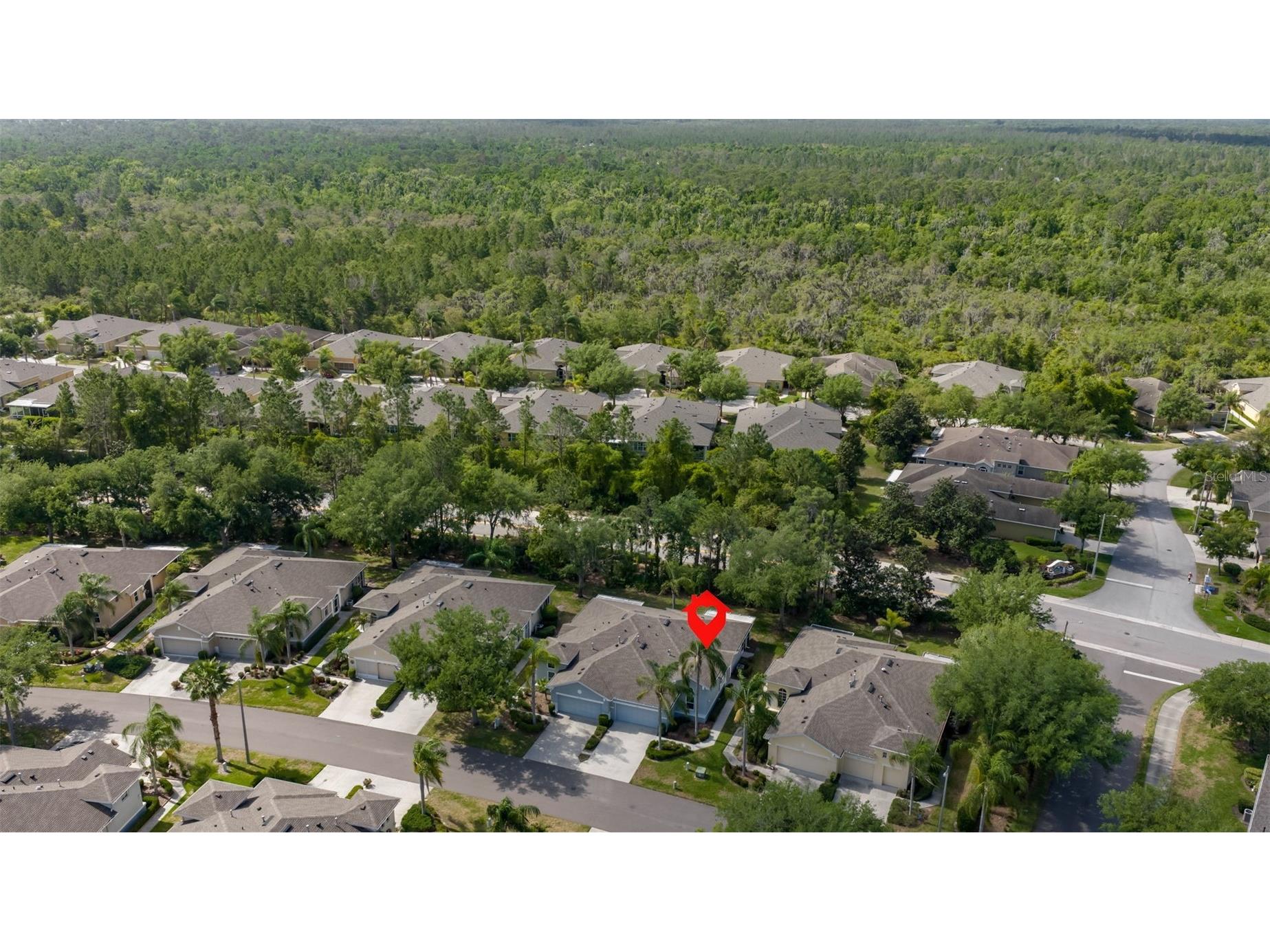 2082 Sifield Greens Way #3 Sun City Center FL 33573 TB8495916 image33