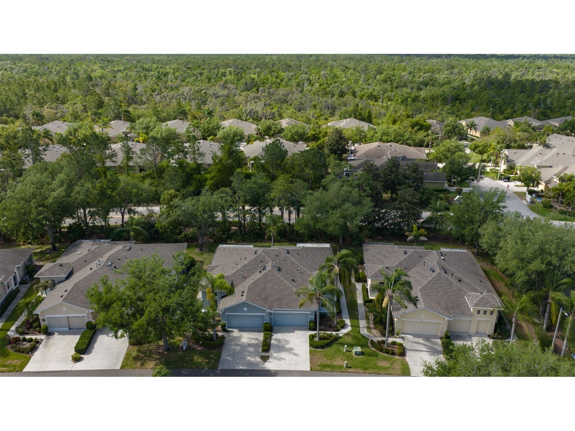 2082 Sifield Greens Way #3 Sun City Center FL 33573 TB8495916 image92