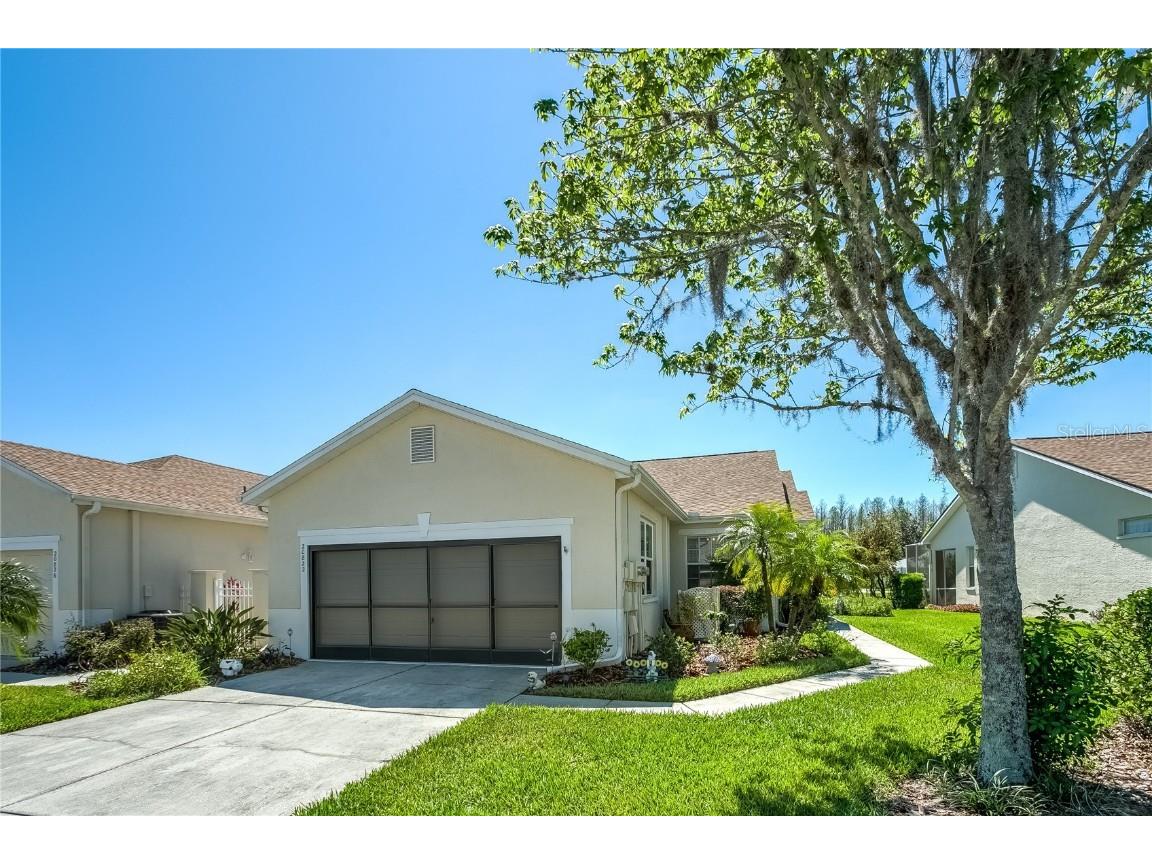 20822 Jaffa Lane Land O Lakes FL 34637 T3433504 image1