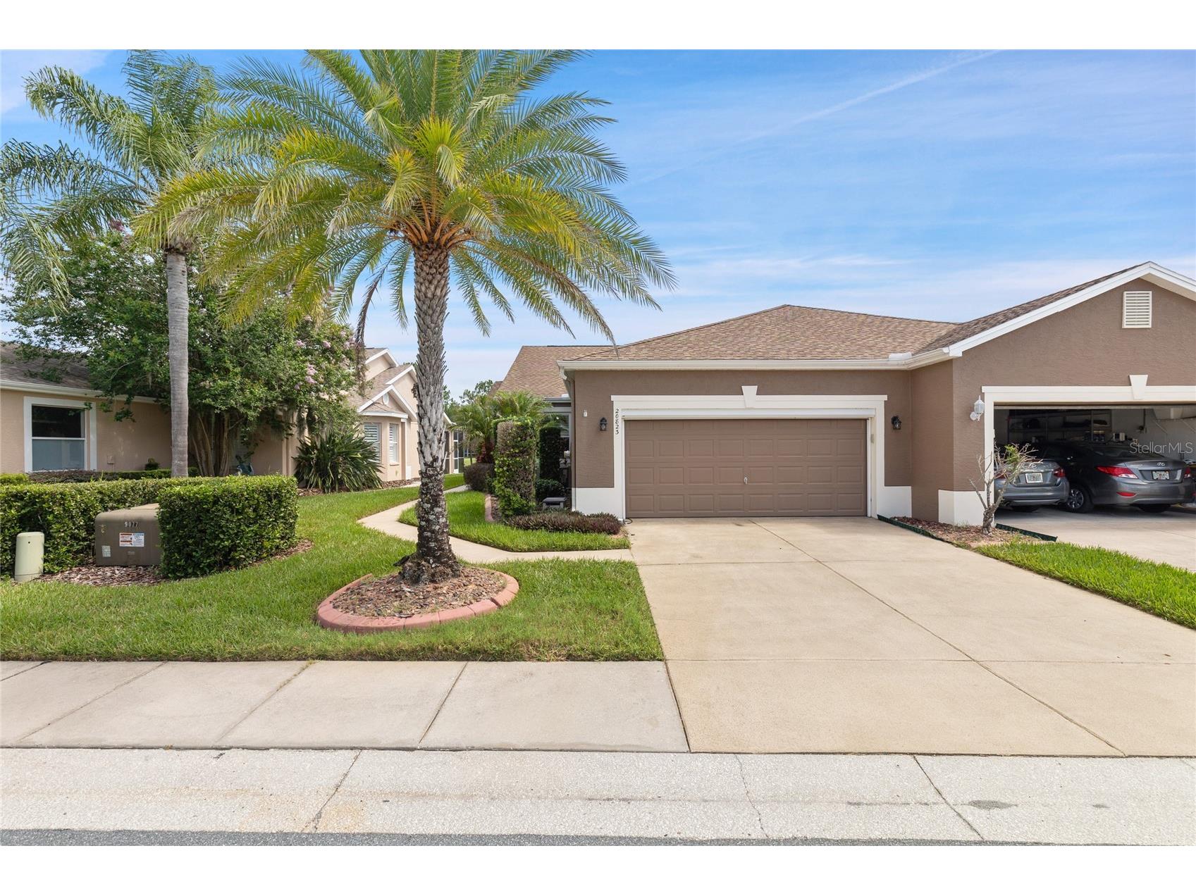 20823 Jaffa Lane Land O Lakes FL 34637 W7886928 image1