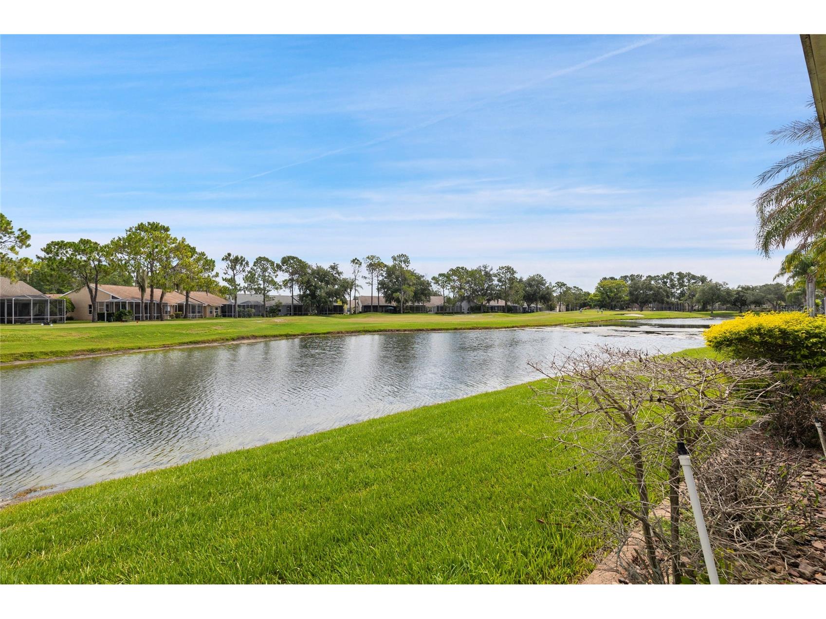 20823 Jaffa Lane Land O Lakes FL 34637 W7886928 image21