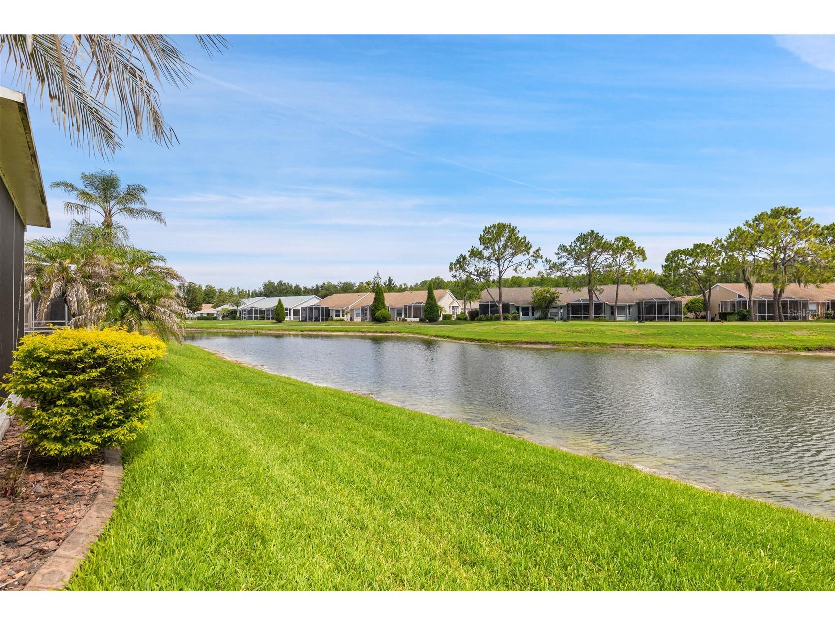 20823 Jaffa Lane Land O Lakes FL 34637 W7886928 image22