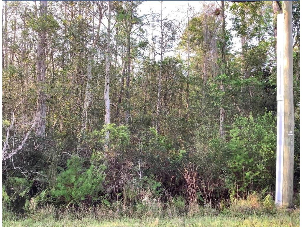 20828 Quinlan Street Orlando FL 32833 O6314288 image1