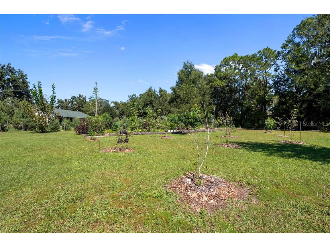 2083 Sr 50 Webster FL 33597 TB8437034 image47