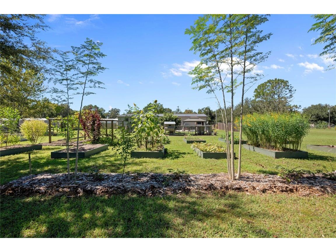 2083 Sr 50 Webster FL 33597 TB8437034 image49